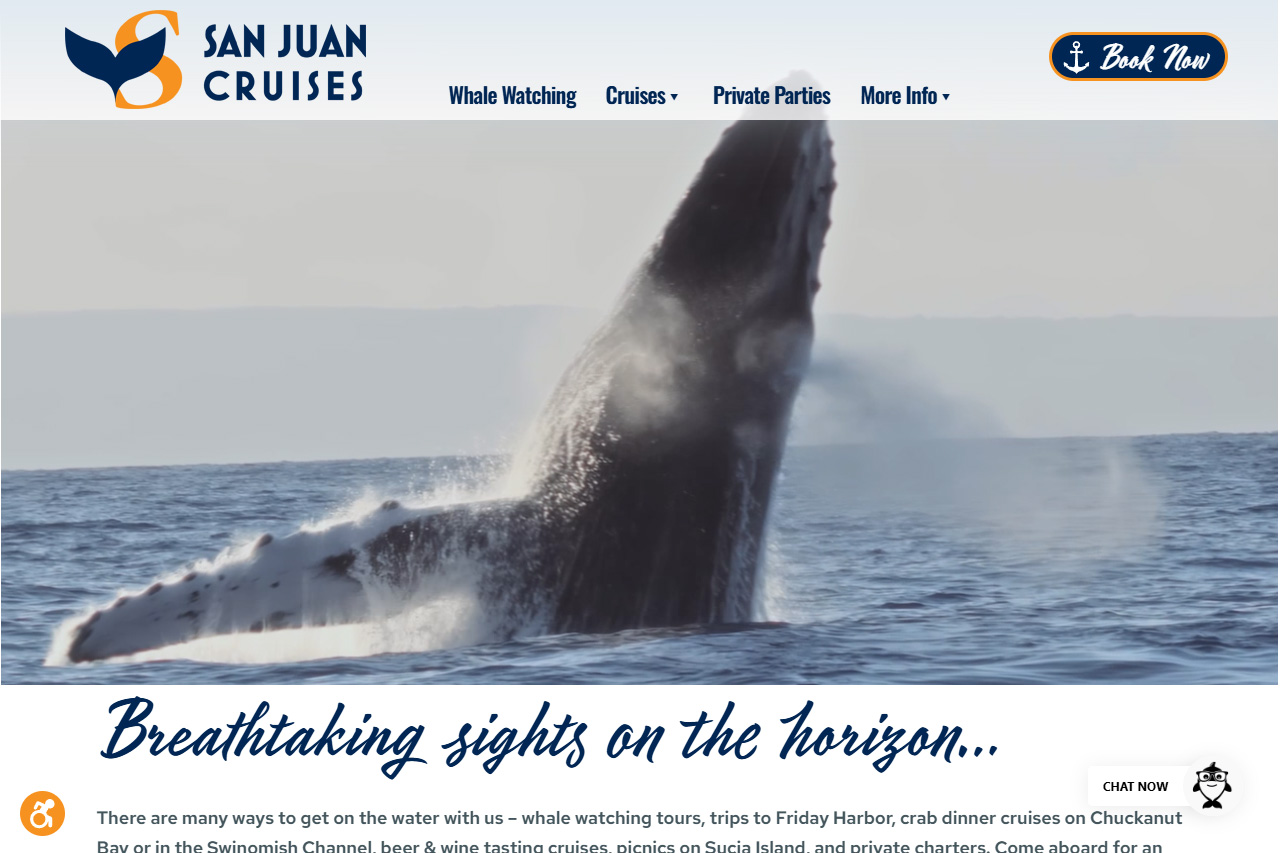 San Juan Cruises website
