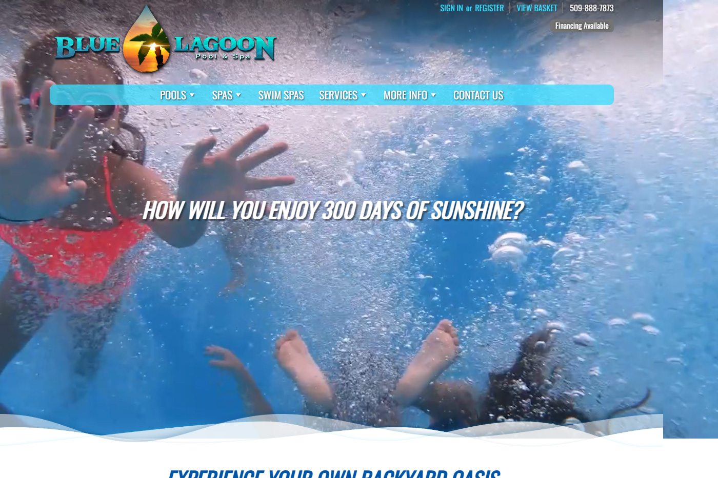 Blue Lagoon Pool and Spa website