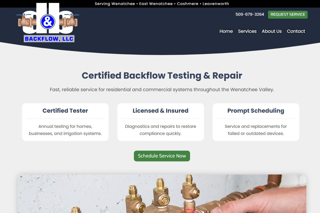 D&B Backflow website
