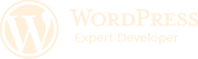 We are Wordpress Expert Developers